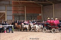 Přehlídka hřebců - Sp. Poříčí - 16.3.2024