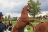 guinness_po_guidam_sohn_z_nifa_po_fou_damour