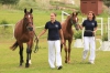 klisna_nifa_po_fou_damour_a_hrebecek_po_guidam_sohn-majitelka_barbora_kralova