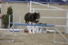 Agility