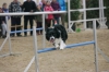 Agility