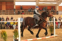 Štěnovický Borek - 8.3.2014