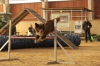 Agility