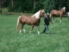 betka2