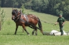 ella-11-591-po-gone-z-11-553-lussy-po-nezbeda-11
