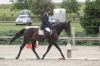 fatima-26-291-po-landino-z-26-479-fler-lady-po-quoniam-pecinovsky-3