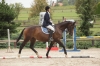 sonata-25-961-po-puschkin-a1-1-farida-po-deserve-3