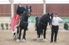 Brickell Vera (Brickell John Little) a Gravel Pit Harvey (Decoy Prince Charming ) Shire horse